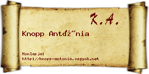Knopp Antónia névjegykártya